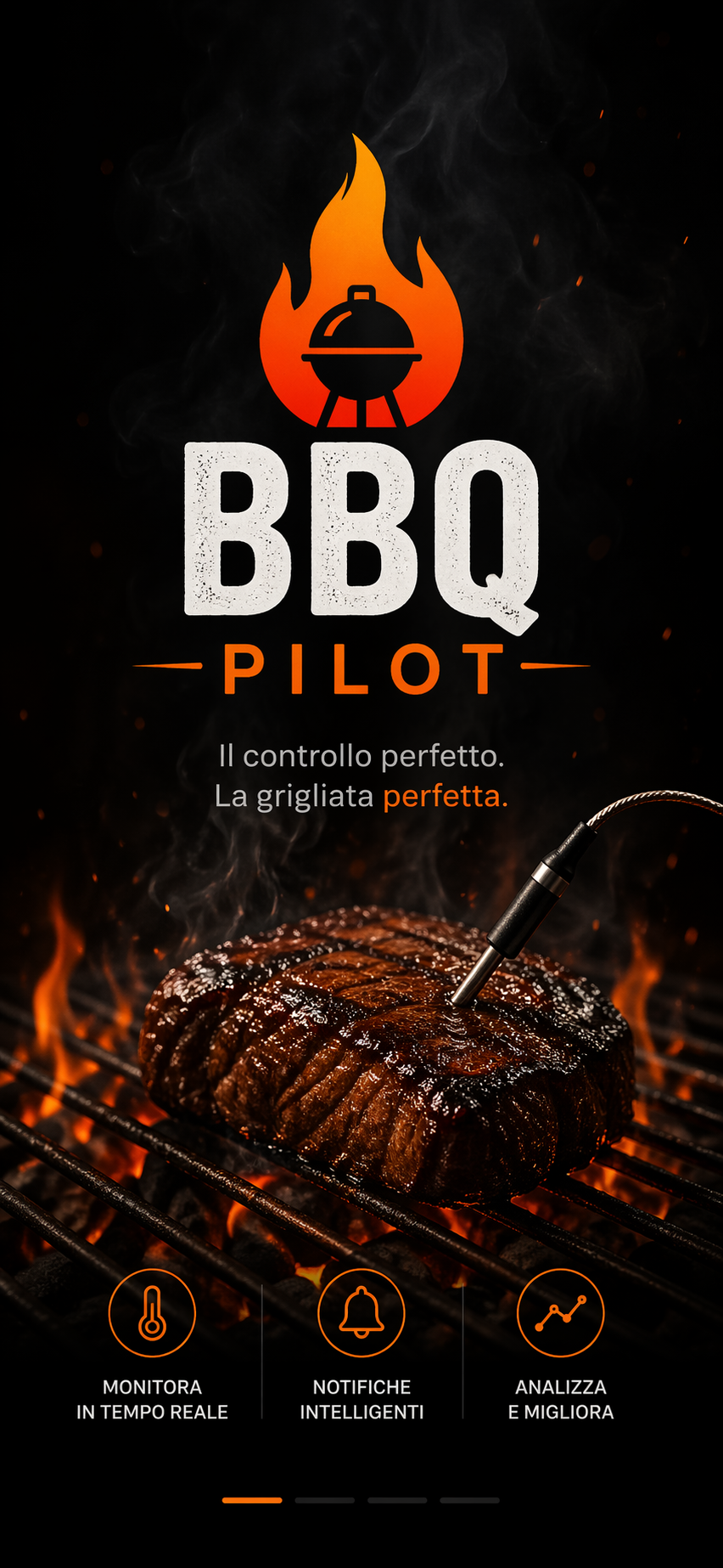Anteprima grafica BBQ Pilot